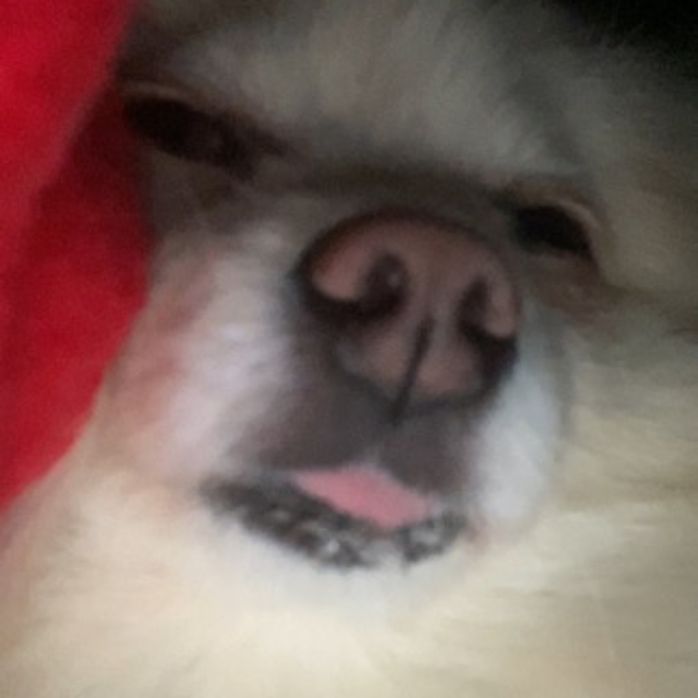 Meet your Posher, Thalia